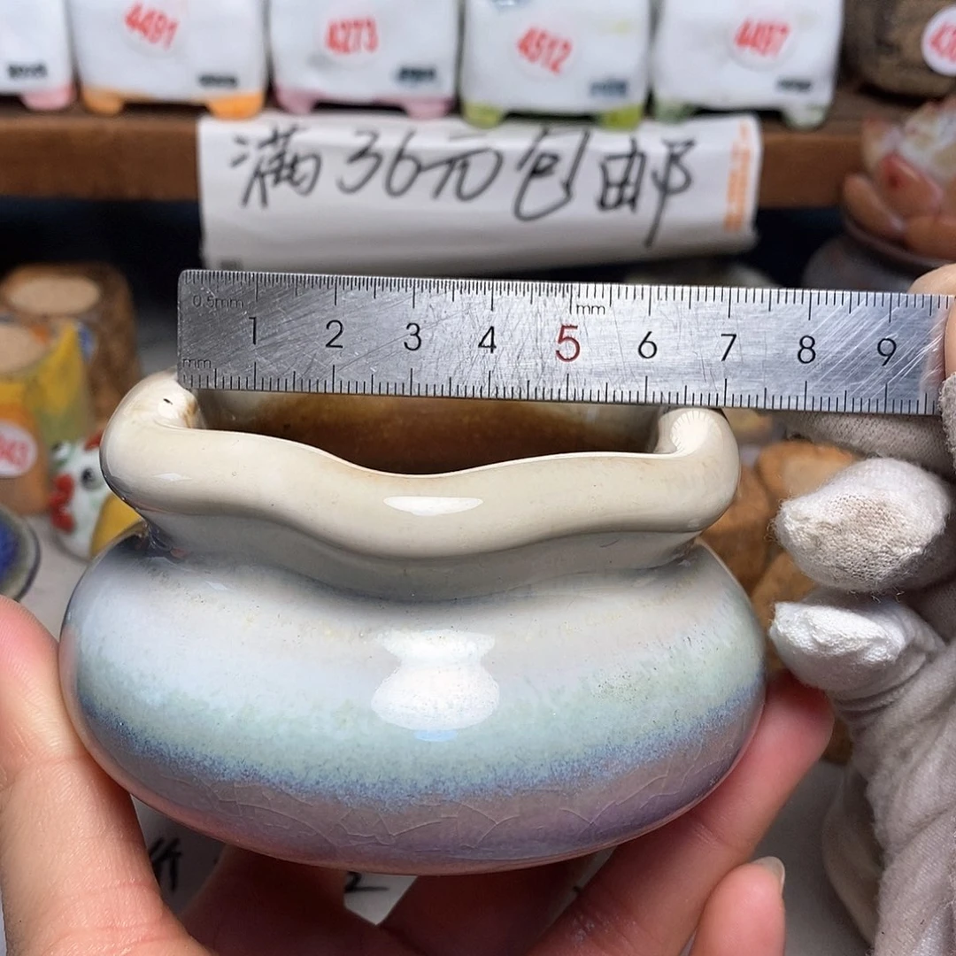 红陶拍5送一个小