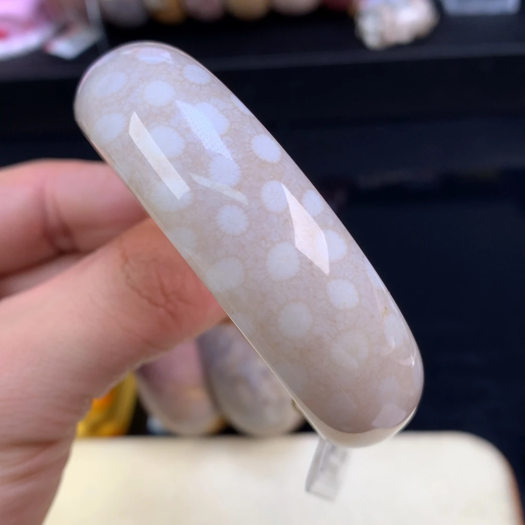 硅化珊瑚（珊瑚玉）未镶嵌颈饰66号57圈白冰带一抹标本骨骼