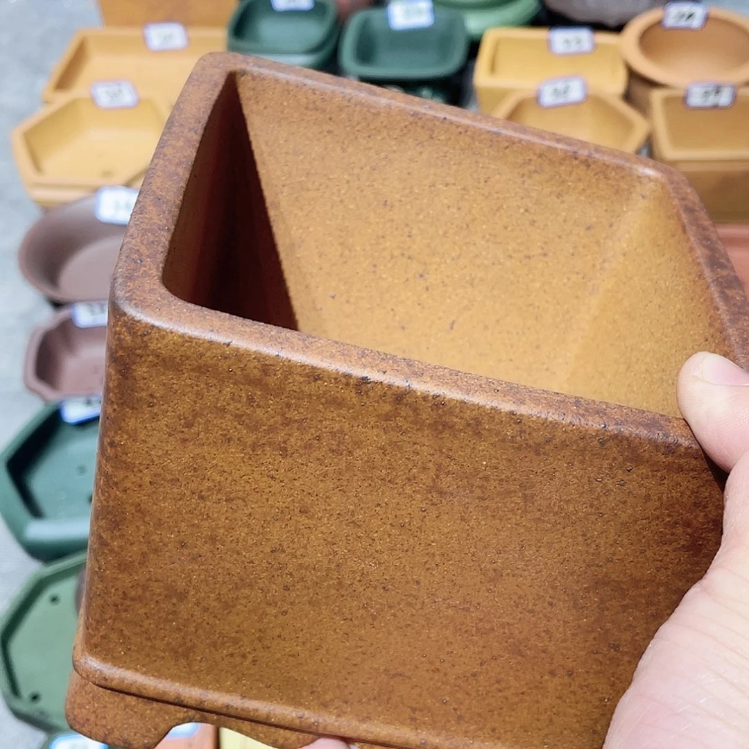 紫砂小盆12*9cmmmmmm