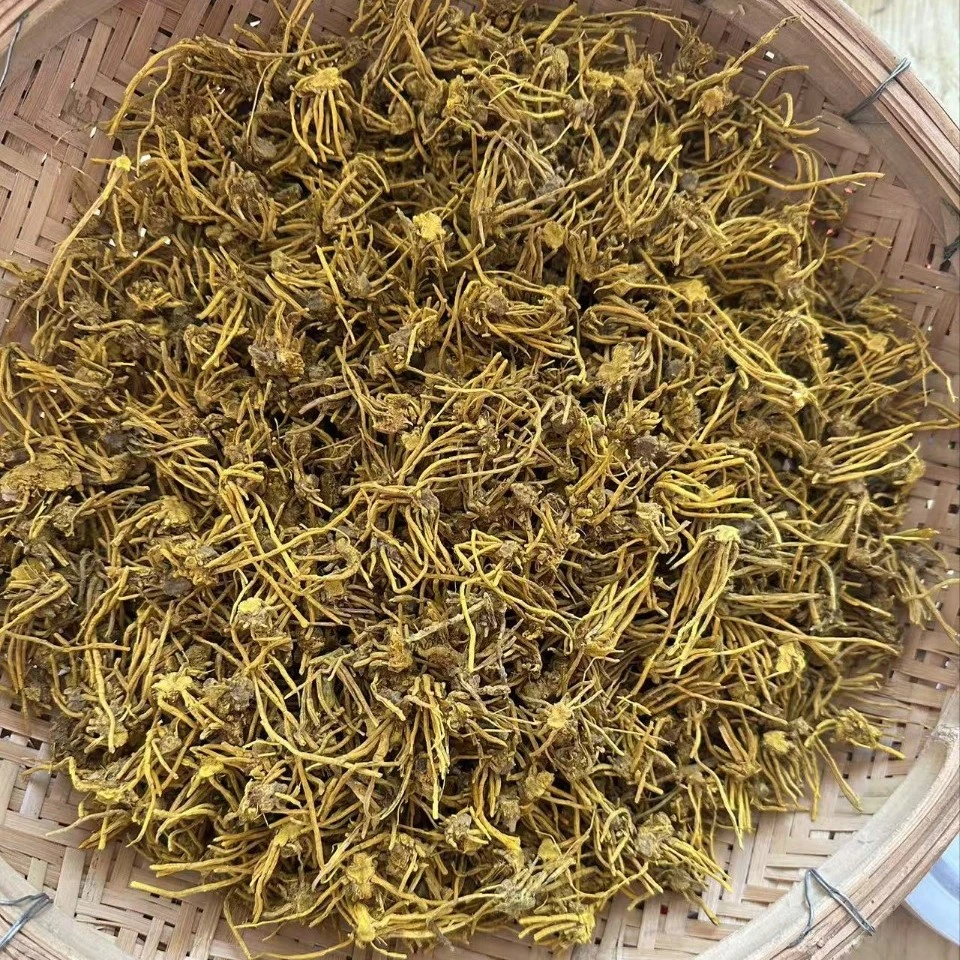 小阿妹家【临时链接】金龙须，龙须石斛