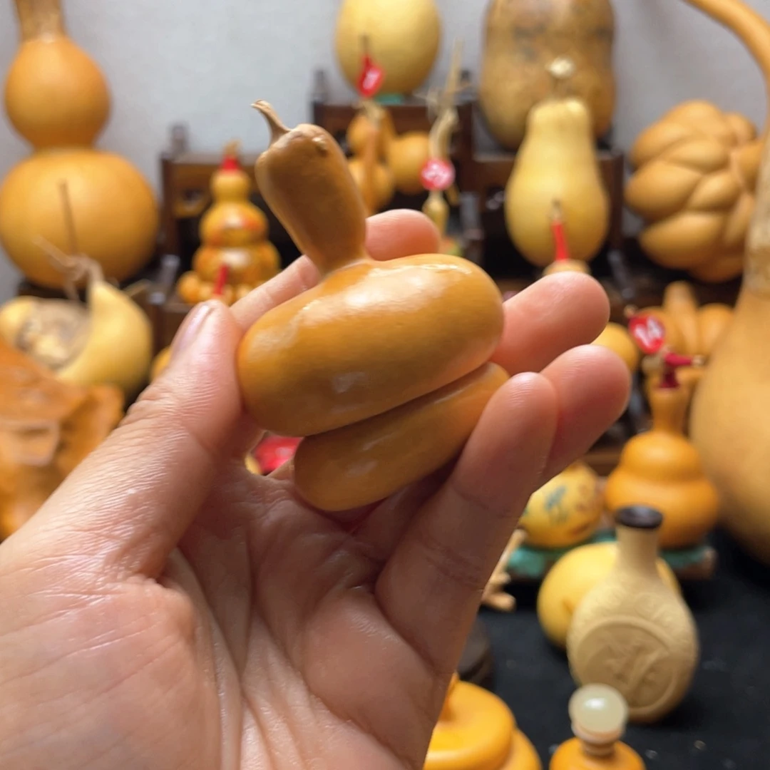 萤*虫大自然的秘密第十一节的