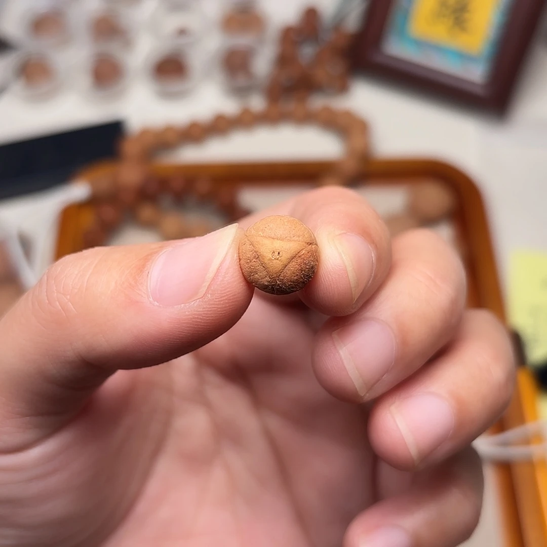 核***驴手串凤眼菩提龙眼单颗1.2