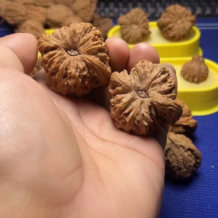 南疆41尺凹底拉丝