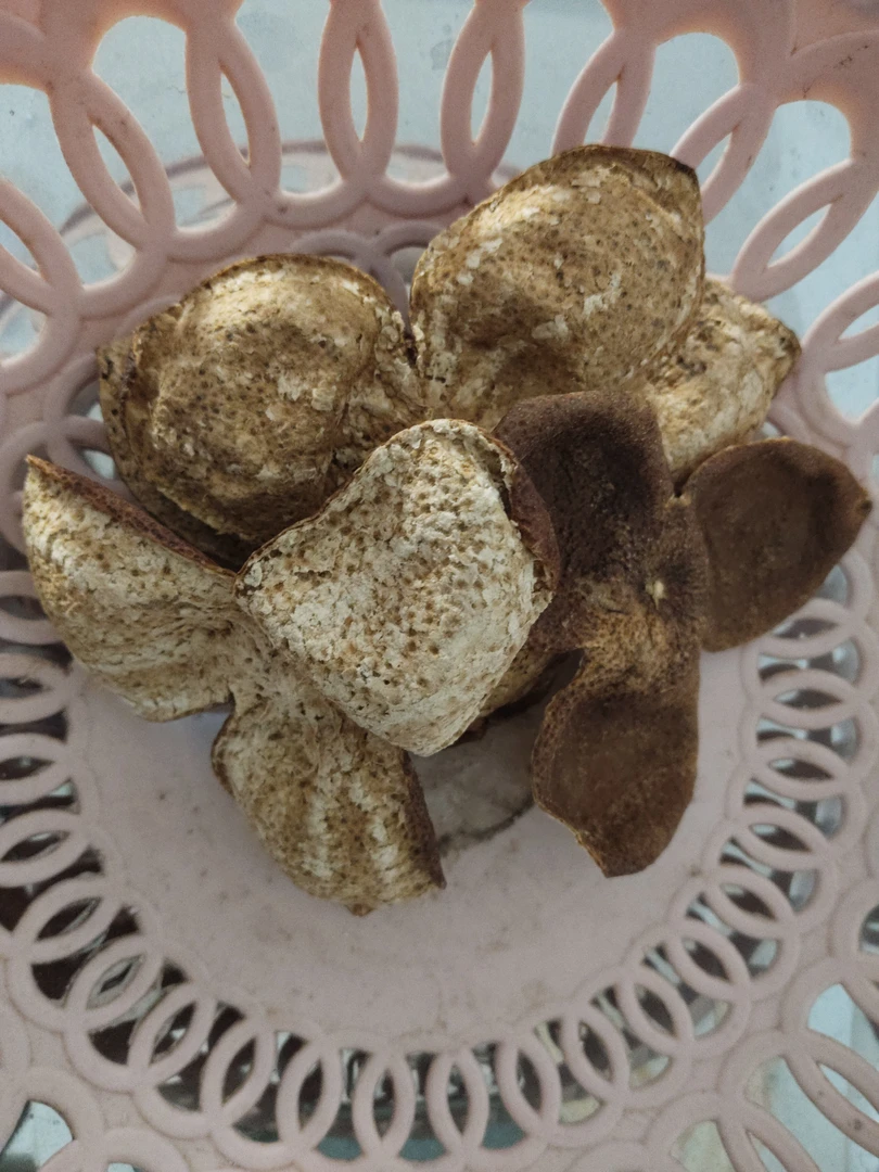 浦北古树茶枝柑陈化五年老树皮（30年树龄左右）