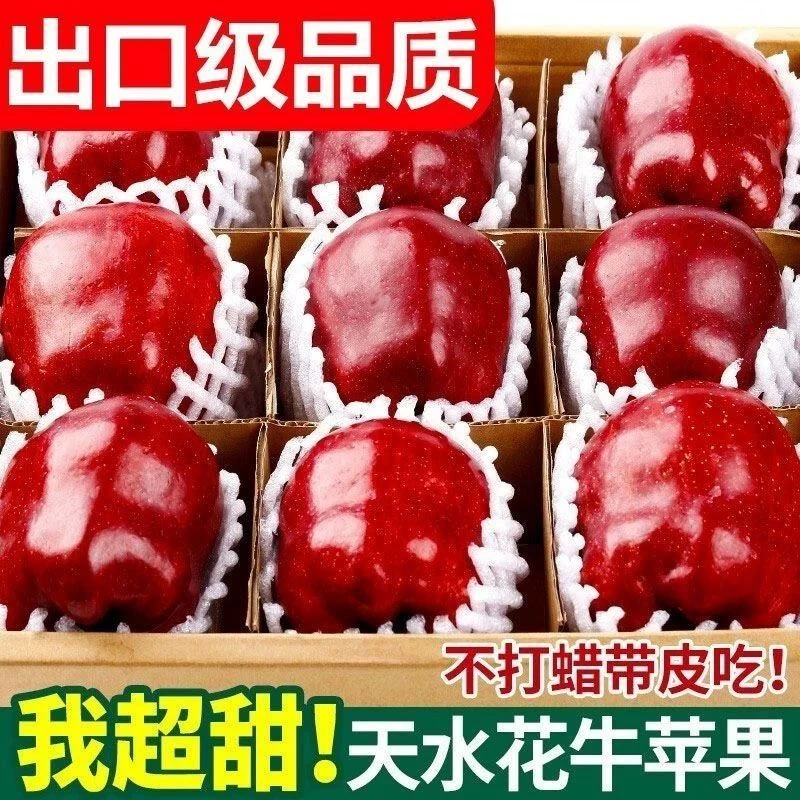 甘肃天水花牛苹果红蛇粉面香甜宝宝辅食刮泥老人新鲜水果采摘苹果