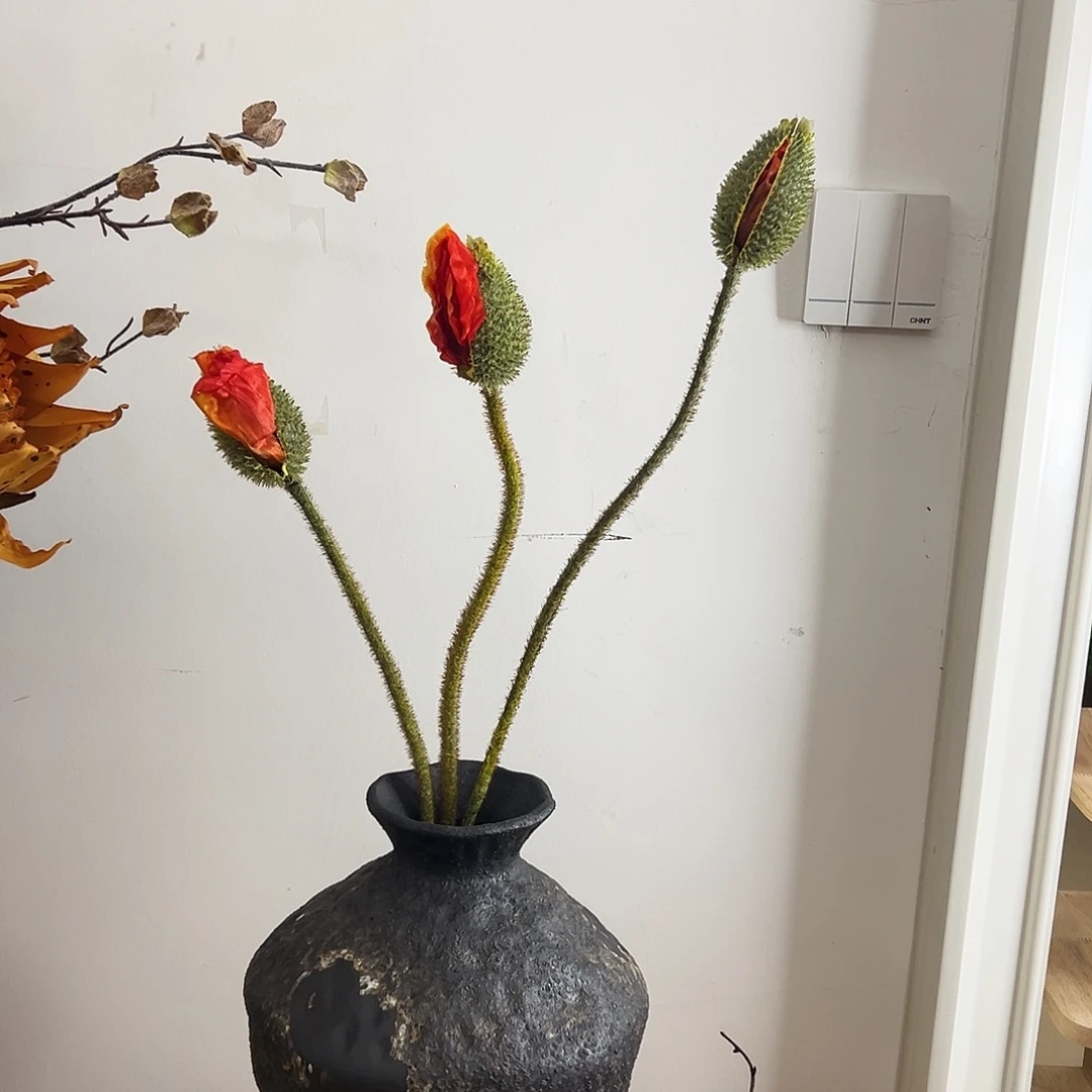 抖音直播福利三支