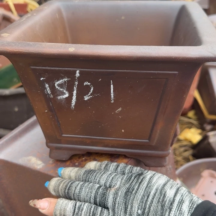 瑕疵吃瑕疵吃吸血虫瑕疵吃瑕疵吃