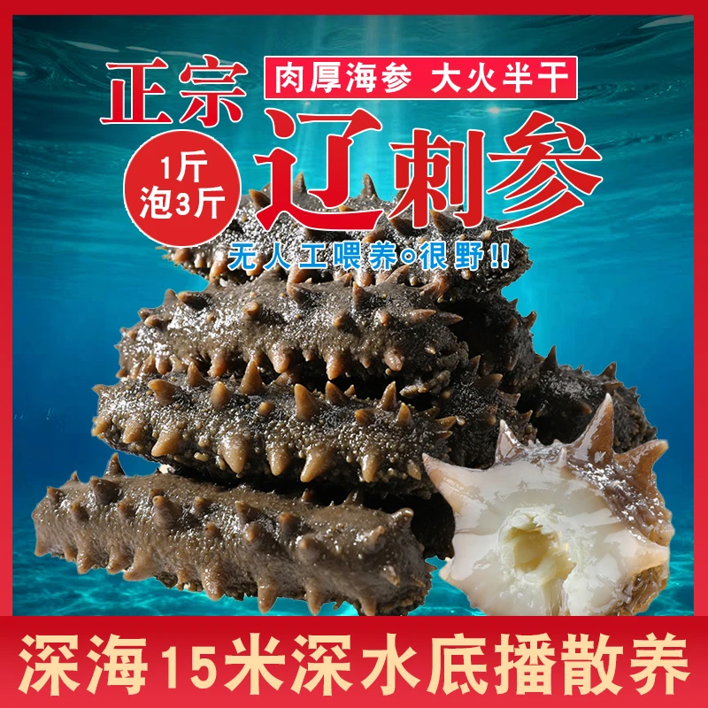 大连辽刺参深海拉缸盐半干海参[15头左右/500g]顺丰包邮