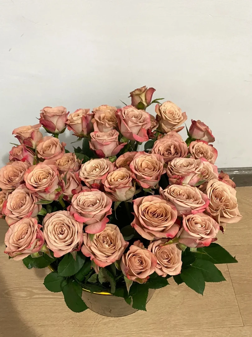 【鲜花】多头卡布奇诺玫瑰家用 昆明直发两单以上德邦包邮送货上门