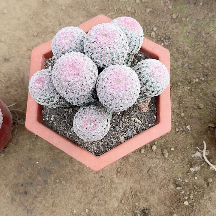 @***院补。           宝贝宝贝b
