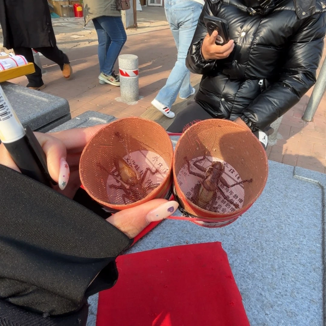 凡***人蝈蝈蝈蝈福福价格