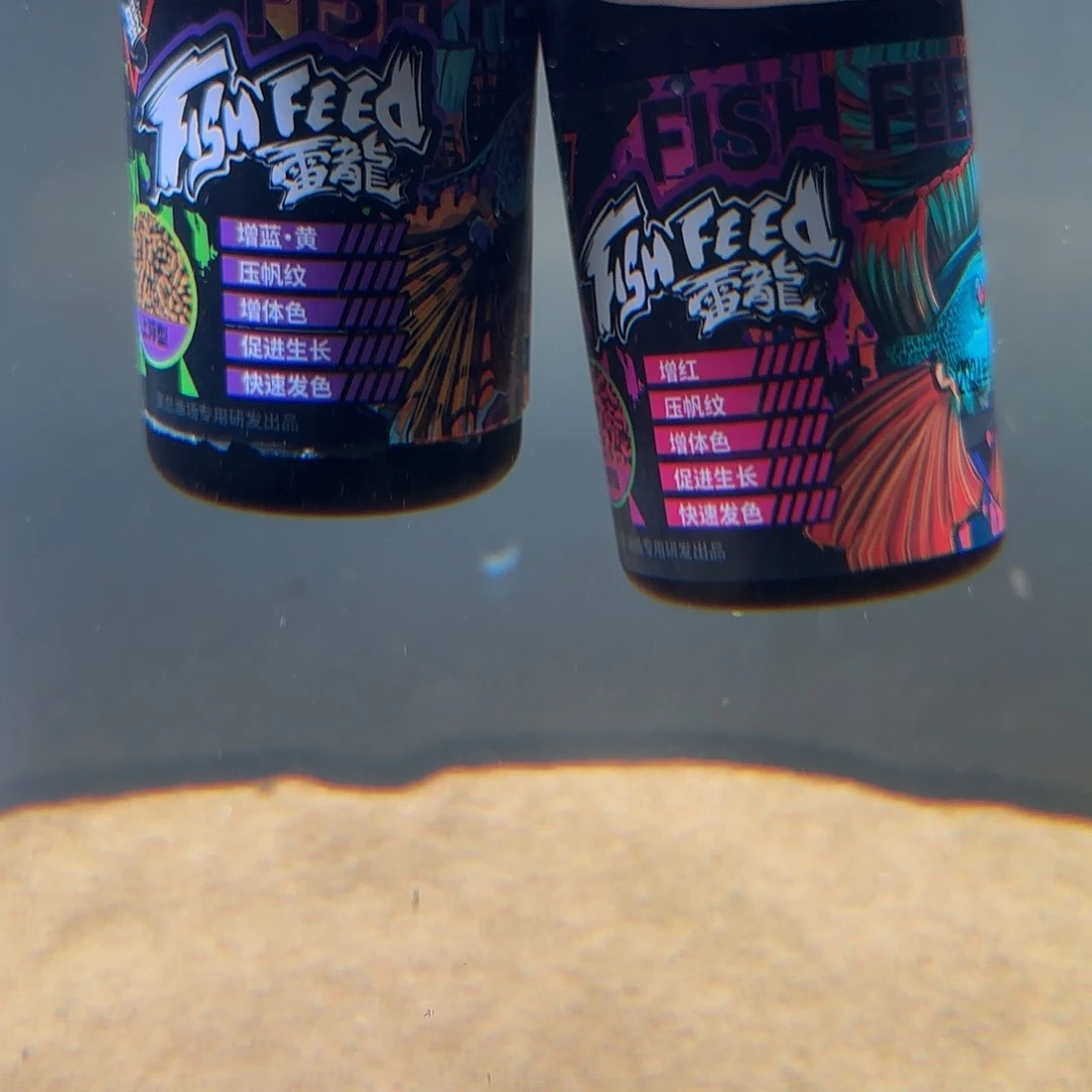 热带鱼公1011111111