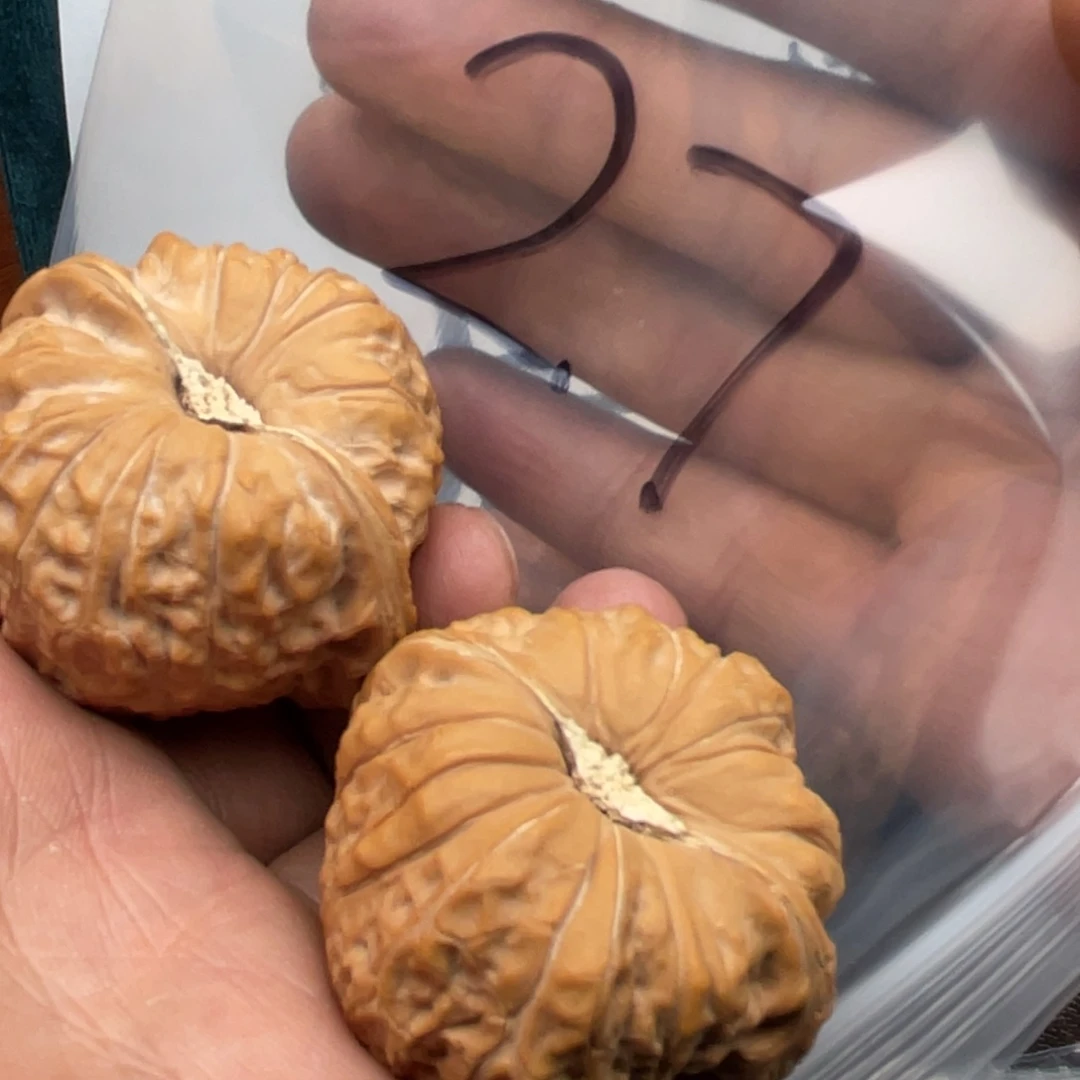 核桃手串/手链567753753753573753