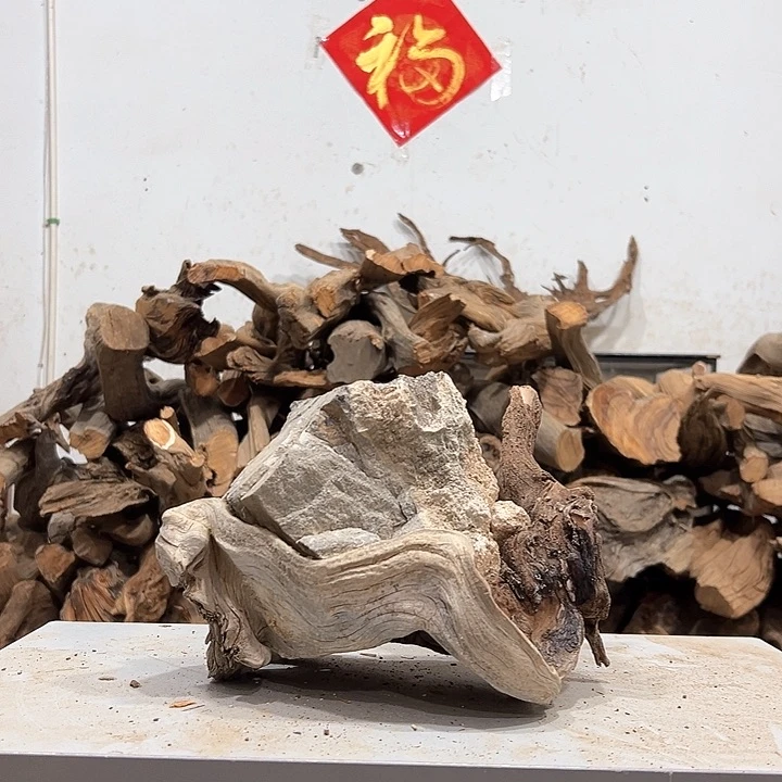 柏木呆*呗我们的生活也是如此吧