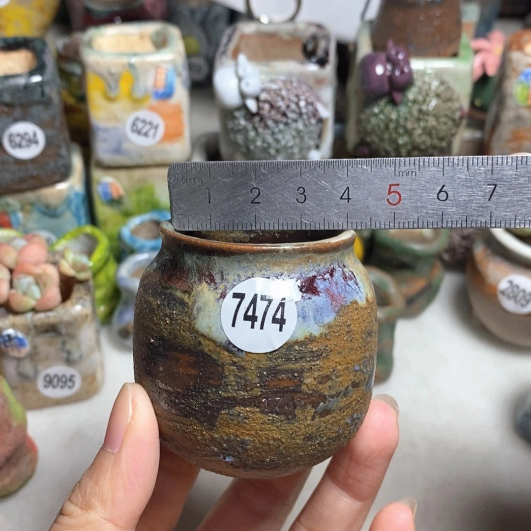 拍5送一个小礼物