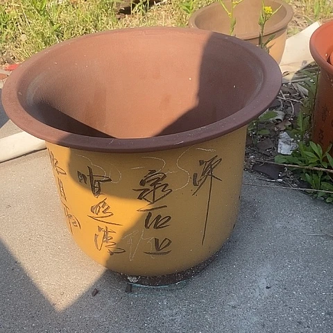 中国宜兴紫砂花，