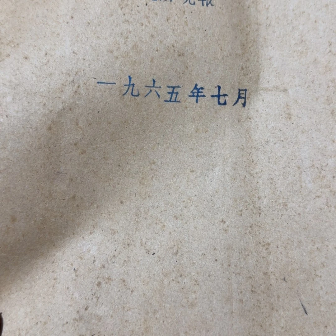 陈***宝杂色豆（科檀/科特迪瓦檀木）