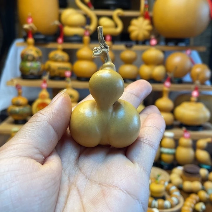 王*珠天然葫芦自然生长