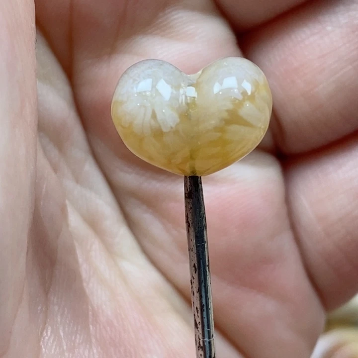 颈饰未镶嵌硅化珊瑚（珊瑚玉）小