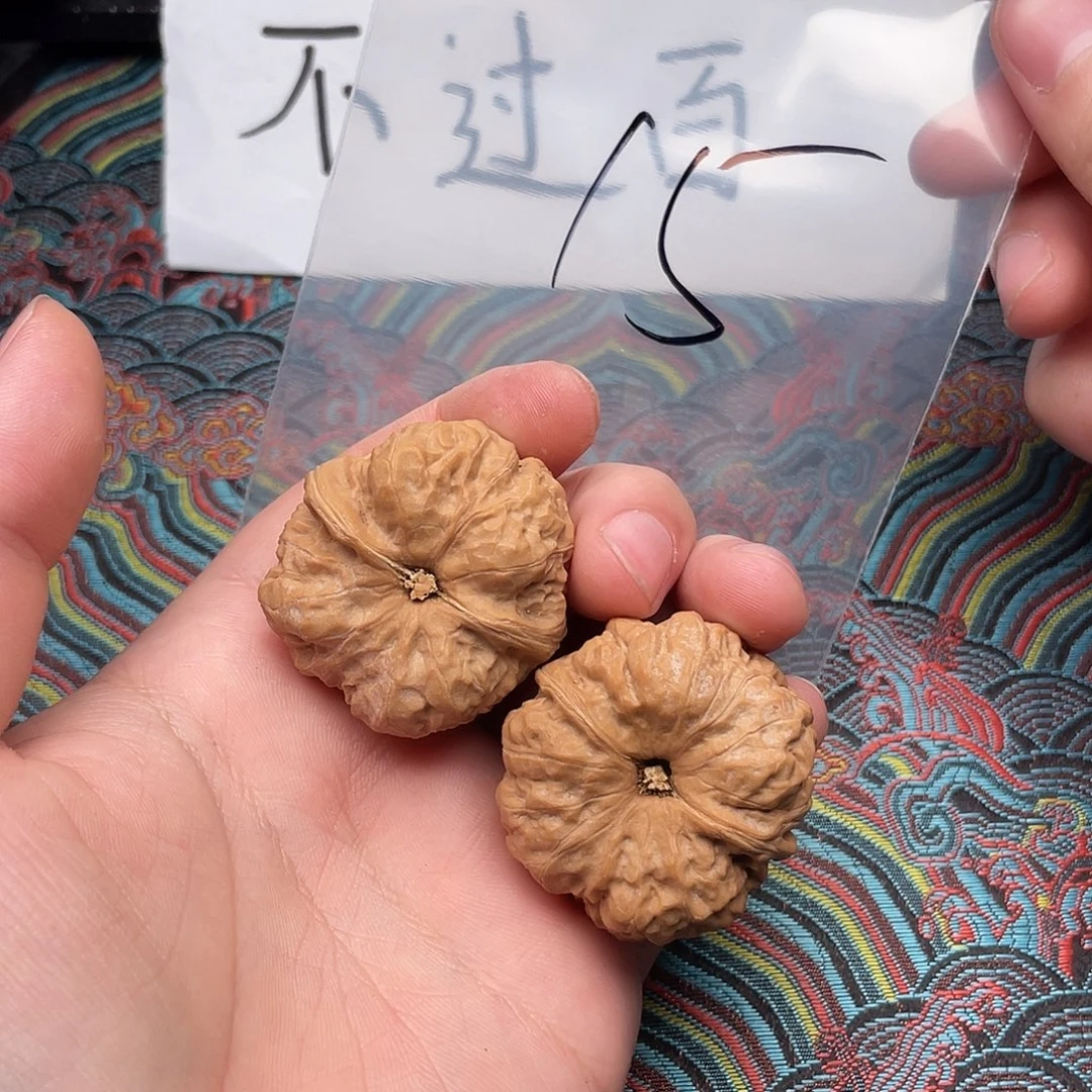 核桃哈哈哈哈哈哈哈哈哈哈