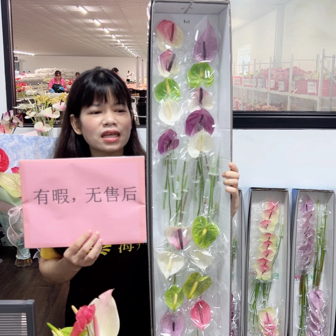 完全开放混色-20枝装无售后款503