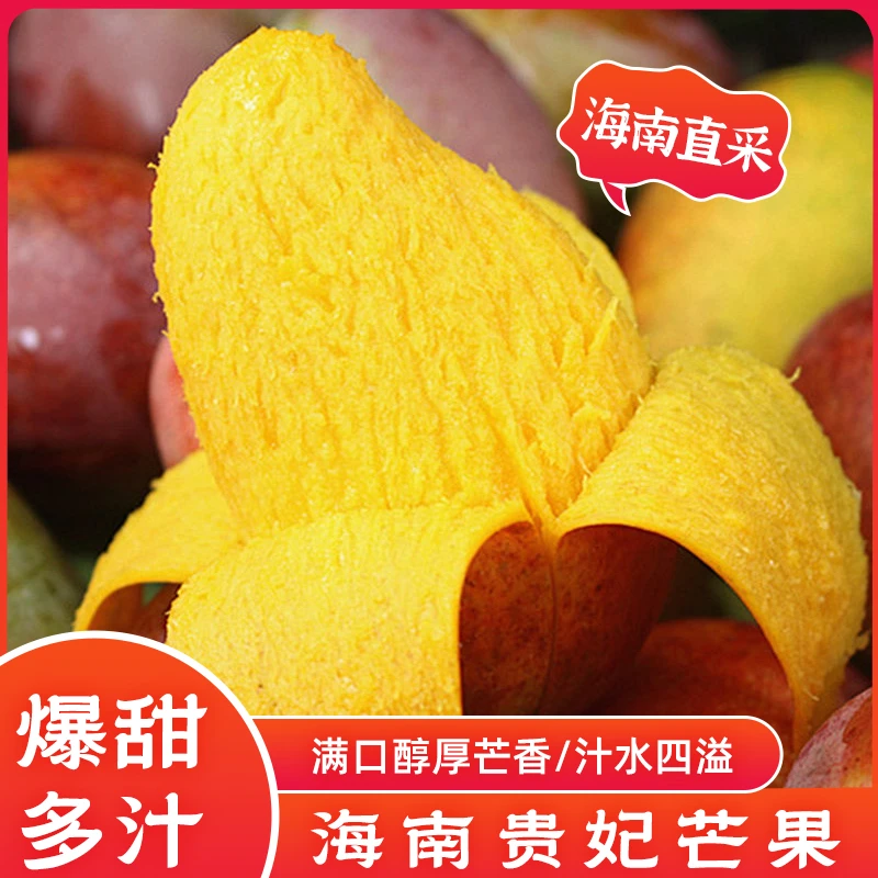 【顺丰次日达】顺丰海南贵妃芒芒5斤新鲜芒果海南省
