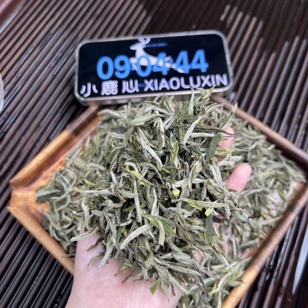 2025牡丹王 ① 小鹿收茶 福鼎白茶  9月10