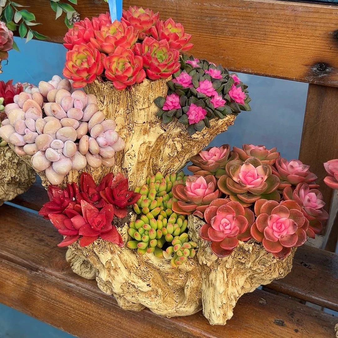 6孔花园组合花园组合