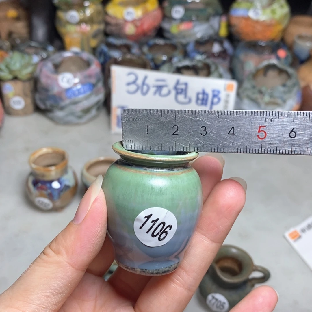 拍5送一个小礼物