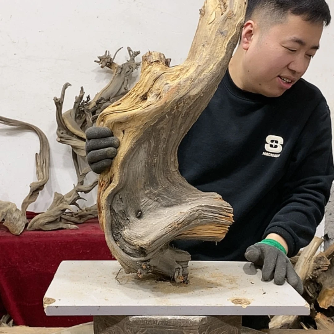 【闪购商品】柏木宽****心我们都是好孩子