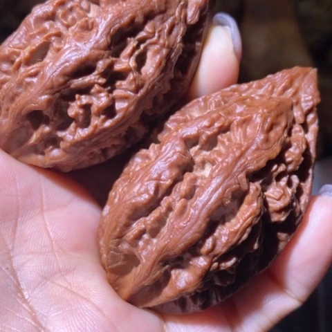 文玩核桃把件鸿*荟东北野生楸子小美92