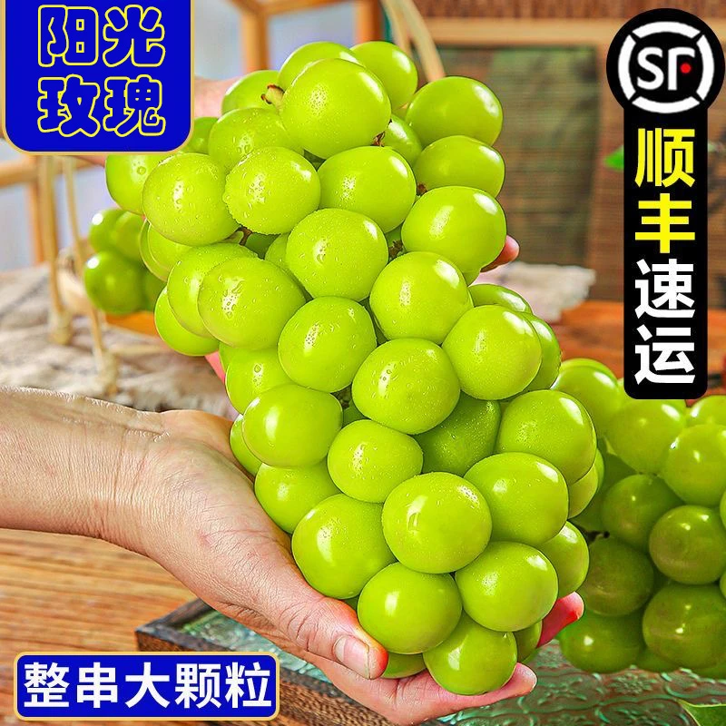 正宗阳光玫瑰葡萄当季新鲜水果爆汁无核无籽整箱发货