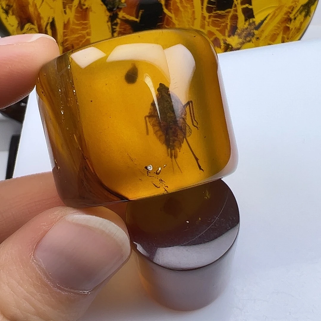 张***！琥珀未镶嵌裸石琥珀虫珀扳指