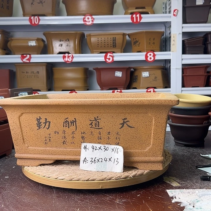 紫砂花盆蛇年大吉