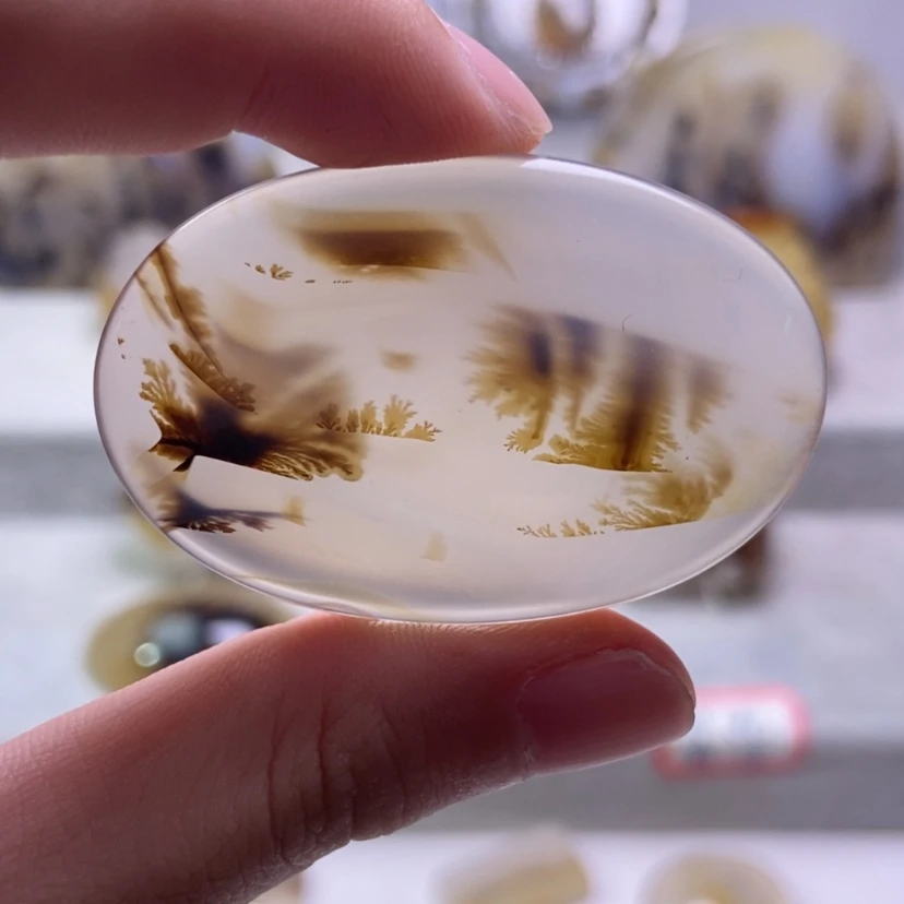 【闪购商品】未镶嵌玛瑙/玉髓珠宝奇石