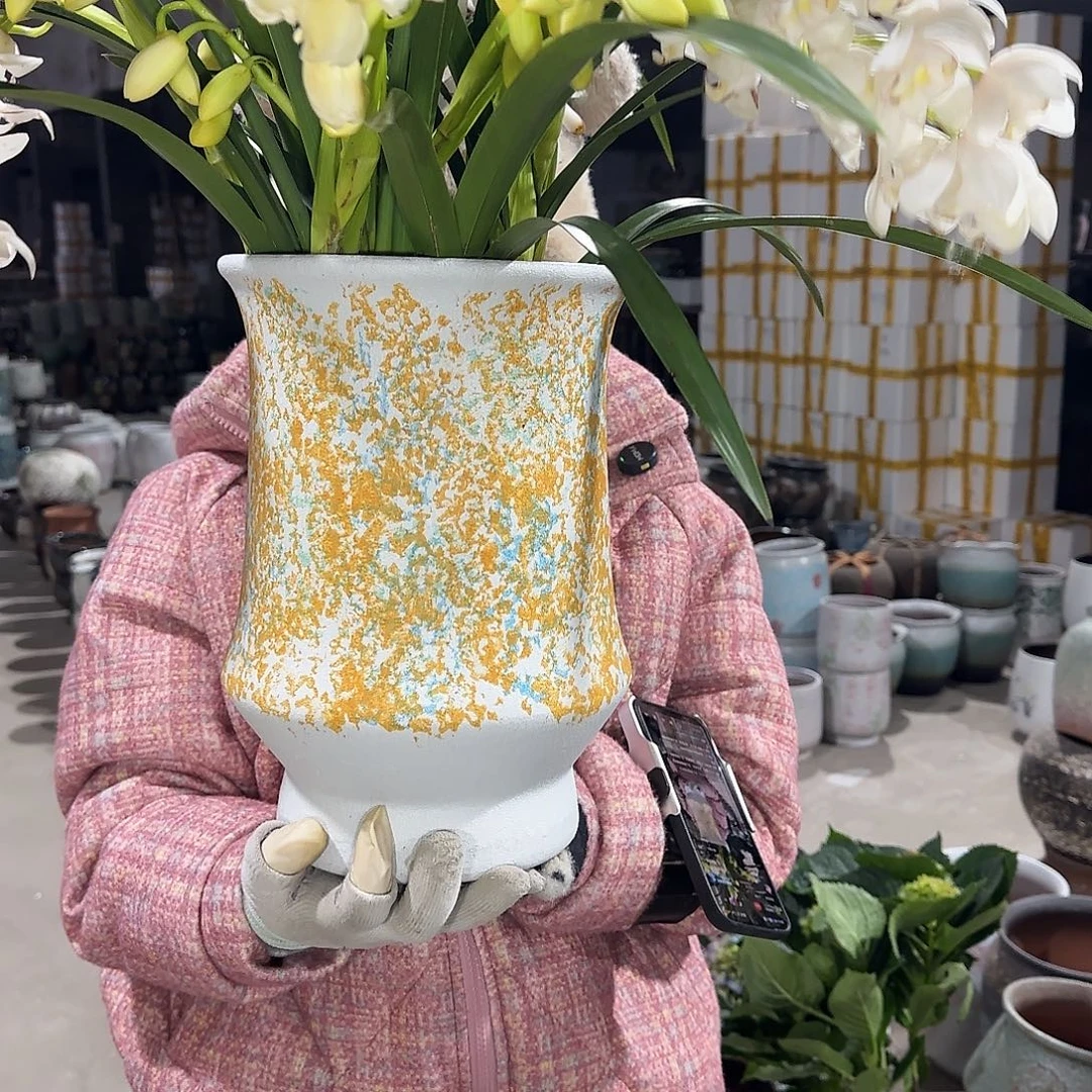 王嫂花盆260105-311高30口20