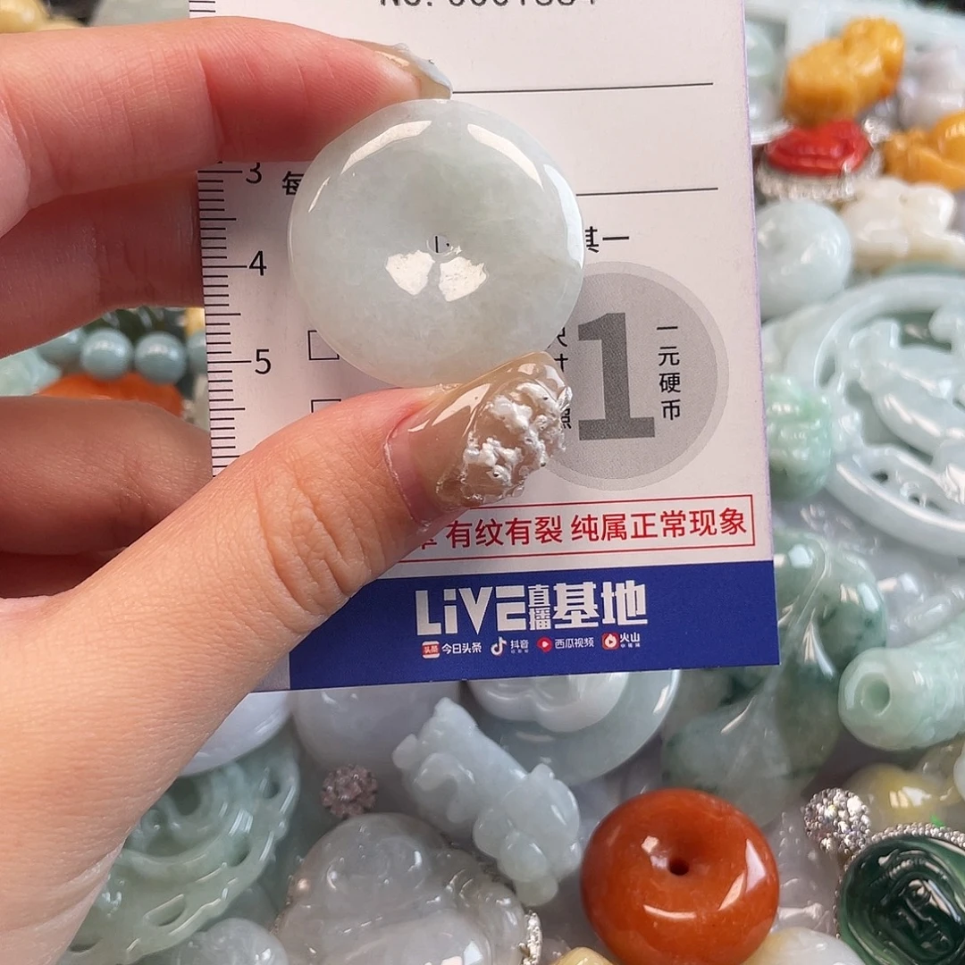 翡翠未镶嵌颈饰1884