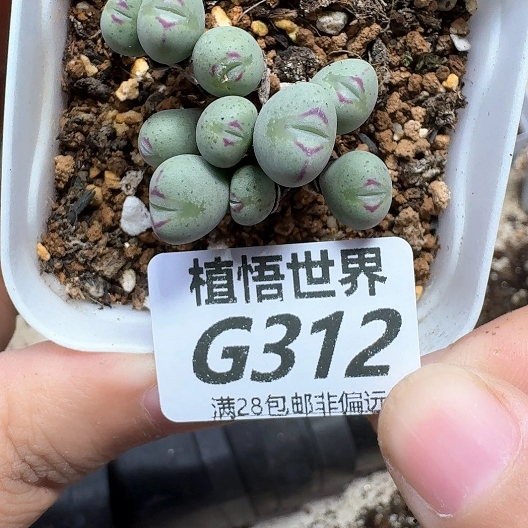 多让我的润泽dcvbn