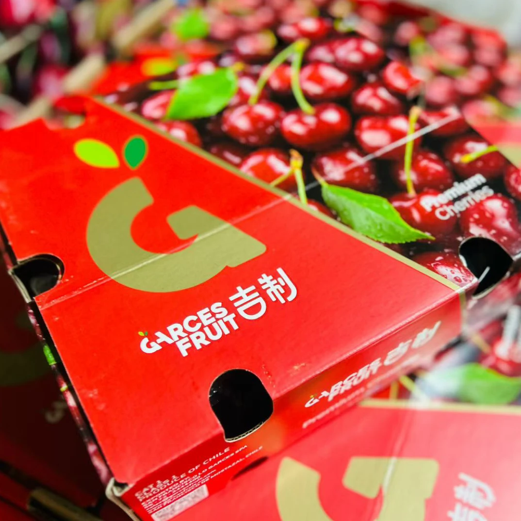 3JD海运吉制车厘子*箱（5斤）桑提娜智利