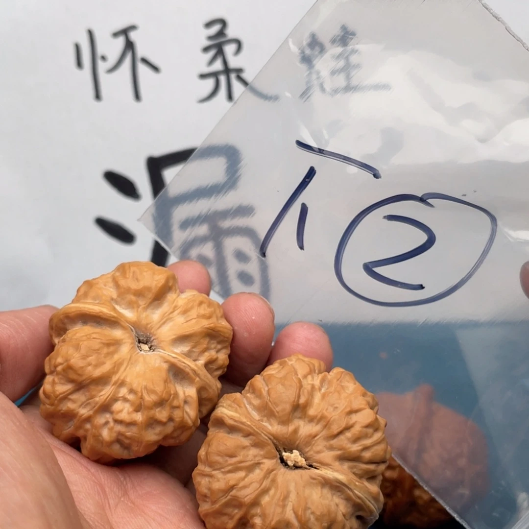 橄榄核手串/手链W496749749694684