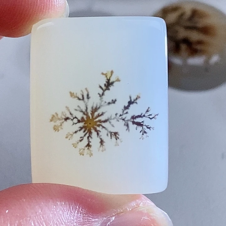 未镶嵌玛瑙/玉髓珠宝奇石鸿***照