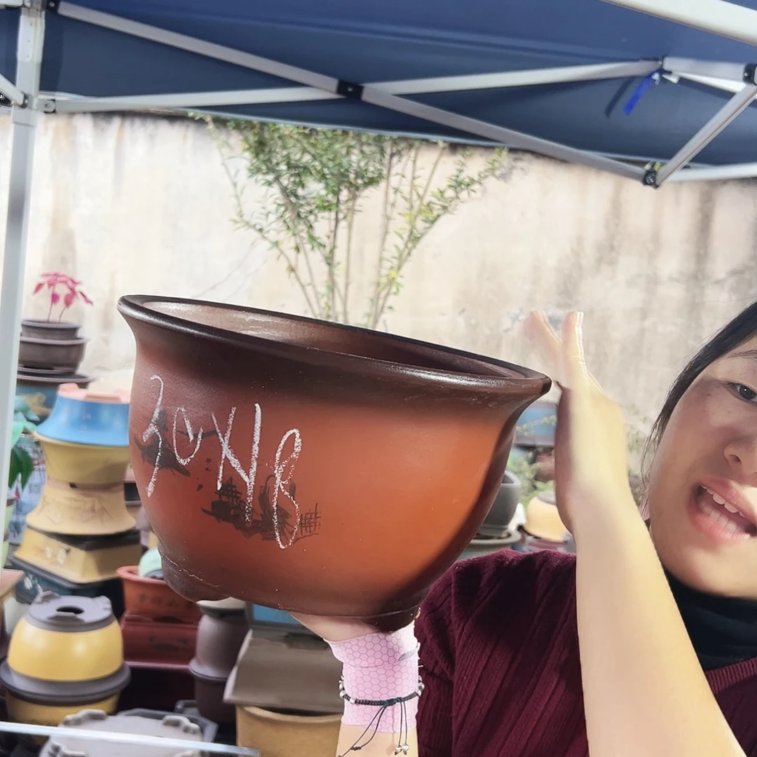 30紫气东来花盆花盆花盆