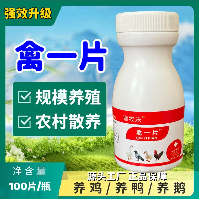 诸牧乐禽正品一片鸡鸭鹅禽类养鸡鸽子兔子养殖四季都能用喂鸡