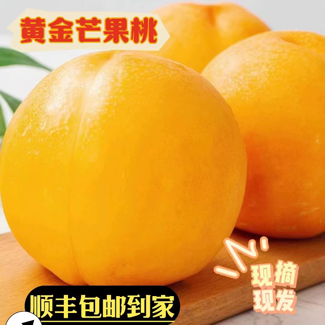 大连黄金芒果桃脆桃老人小孩孕妇应季水果软桃现摘现发甜蜜爆汁