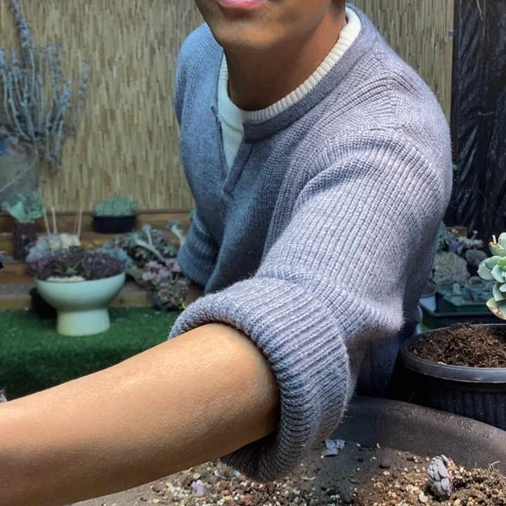 娴***情梵高和白胖子多肉植物