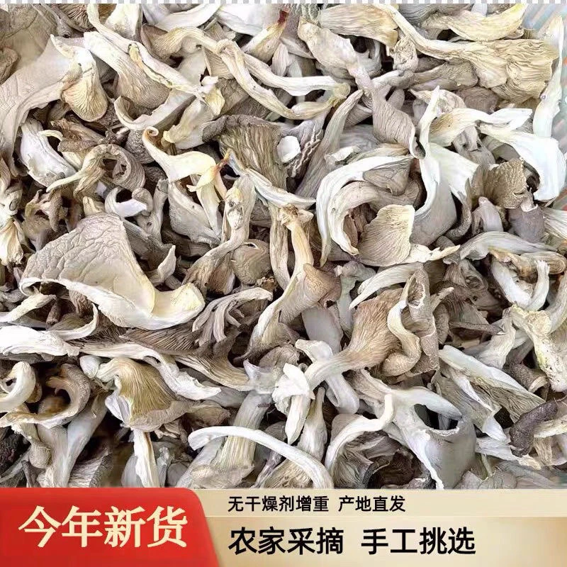 新货平菇干货干蘑菇干菌菇煲汤（固定专拍链接）