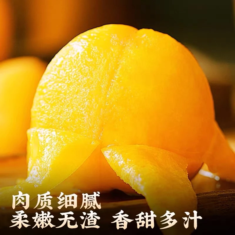 （京东包邮-新鲜直发）山东蒙阴黄毛桃蜜桃新鲜采摘应季水果包邮