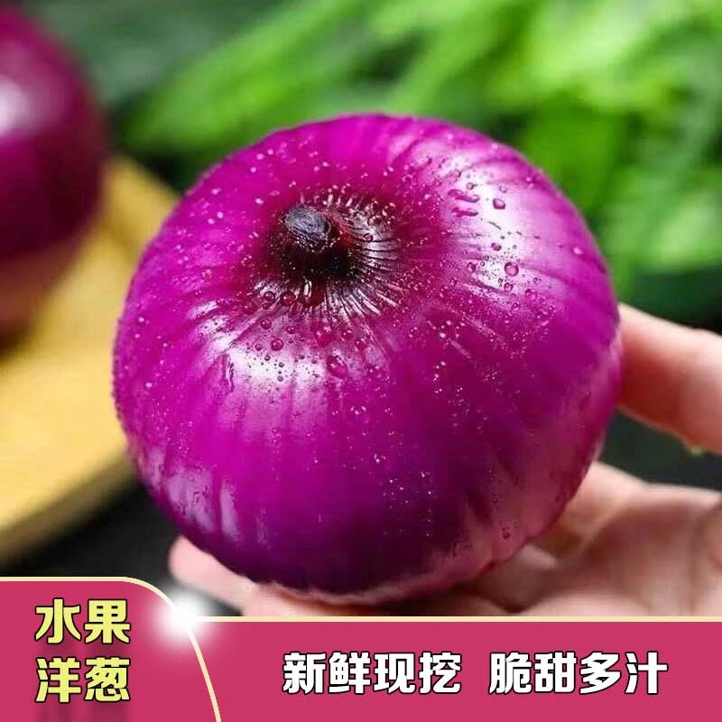 [新鲜精选]饱满紫皮洋葱脆甜水果洋葱当季蔬菜现挖现发