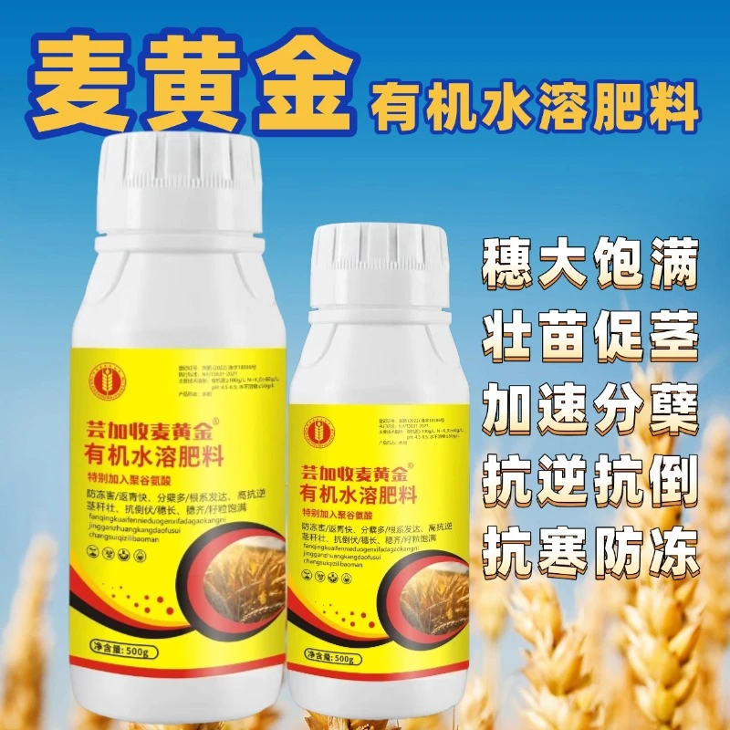 麦黄金抗寒防冻壮苗促茎抗逆抗倒伏穗大粒饱水溶强力肥料