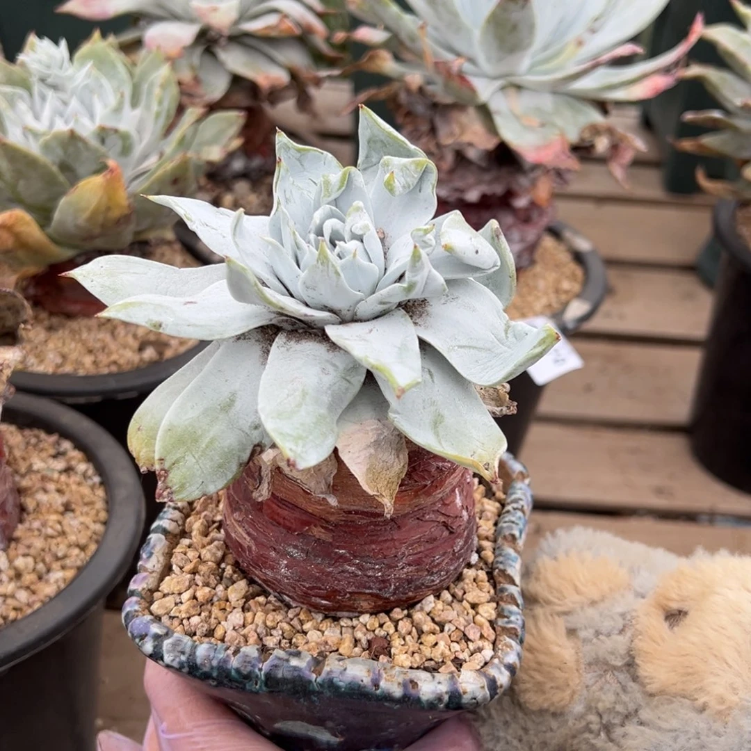 2771哈哈哈哈哈哈哈哈哈哈